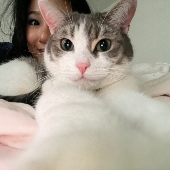 Meet your Posher - Picture 1 of 1